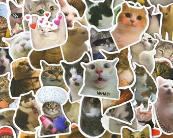 50 adesivos aleatórios de memes de gatos fofos, adesivos de vinil, adesivos kawaii, adesivos à prova d'água, adesivos de gatos engraçados, pacote de adesivos de gatos para crianças