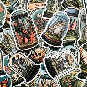 100 gotische natuurstickers, op specimens geïnspireerde stickers, vintage esthetische stickers, ideaal voor kunsttijdschriften, laptops en doe-het-zelfartikelen