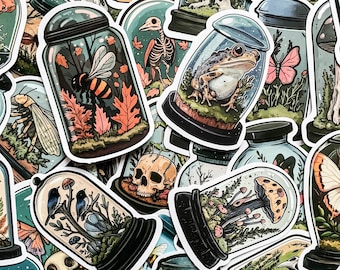 50 gotische natuurstickers, op specimens geïnspireerde stickers, vintage esthetische stickers, ideaal voor kunsttijdschriften, laptops en doe-het-zelfartikelen