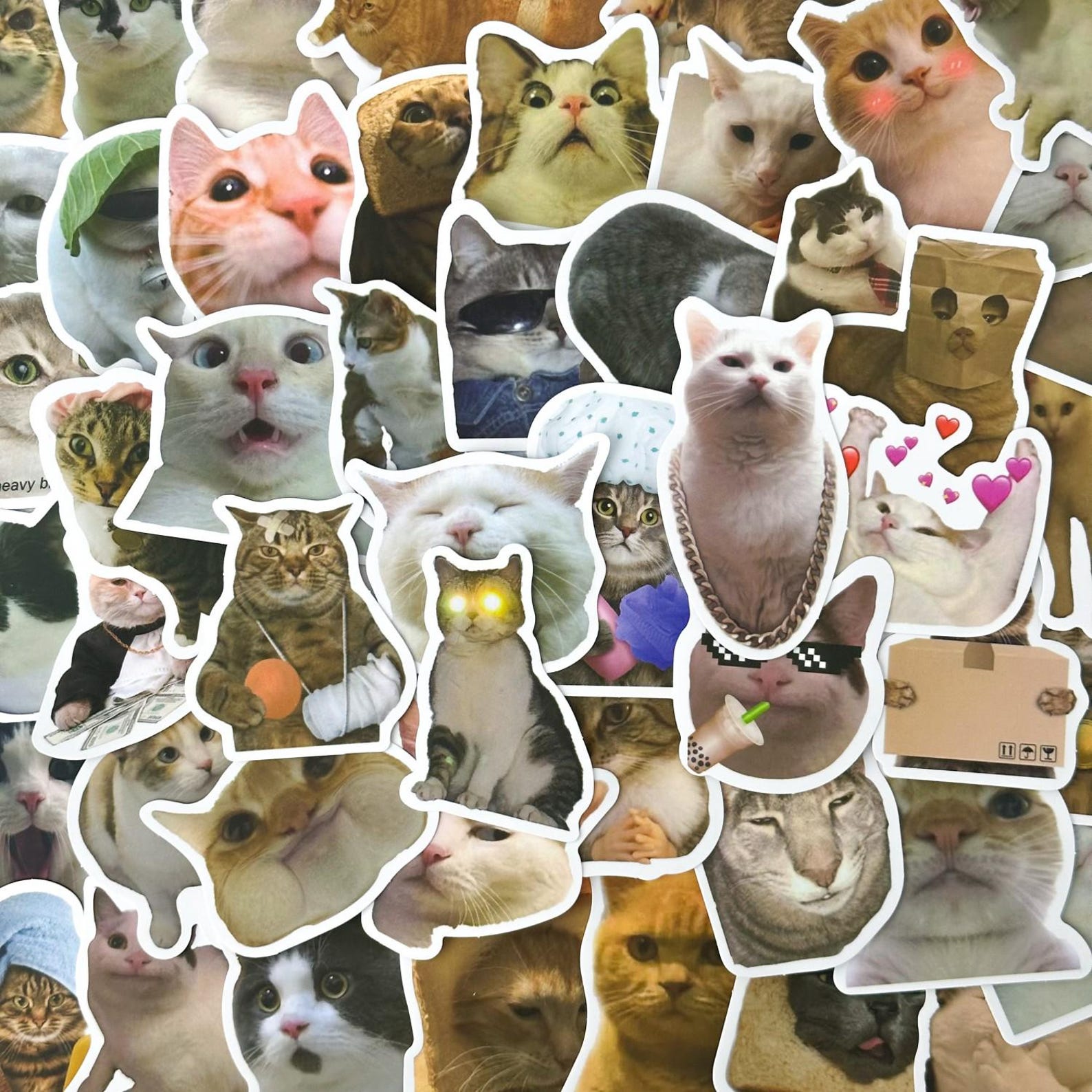 50 Random Cute Cat Meme Stickers, Vinyl Stickers, Kawaii Stickers ...