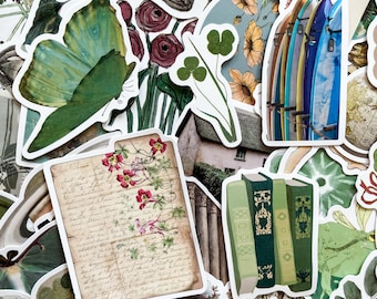 Confezione da 50 adesivi a tema natura, adesivi vintage botanici e animali, adesivi artistici con scheletri di insetti, simpatici adesivi per album di ritagli