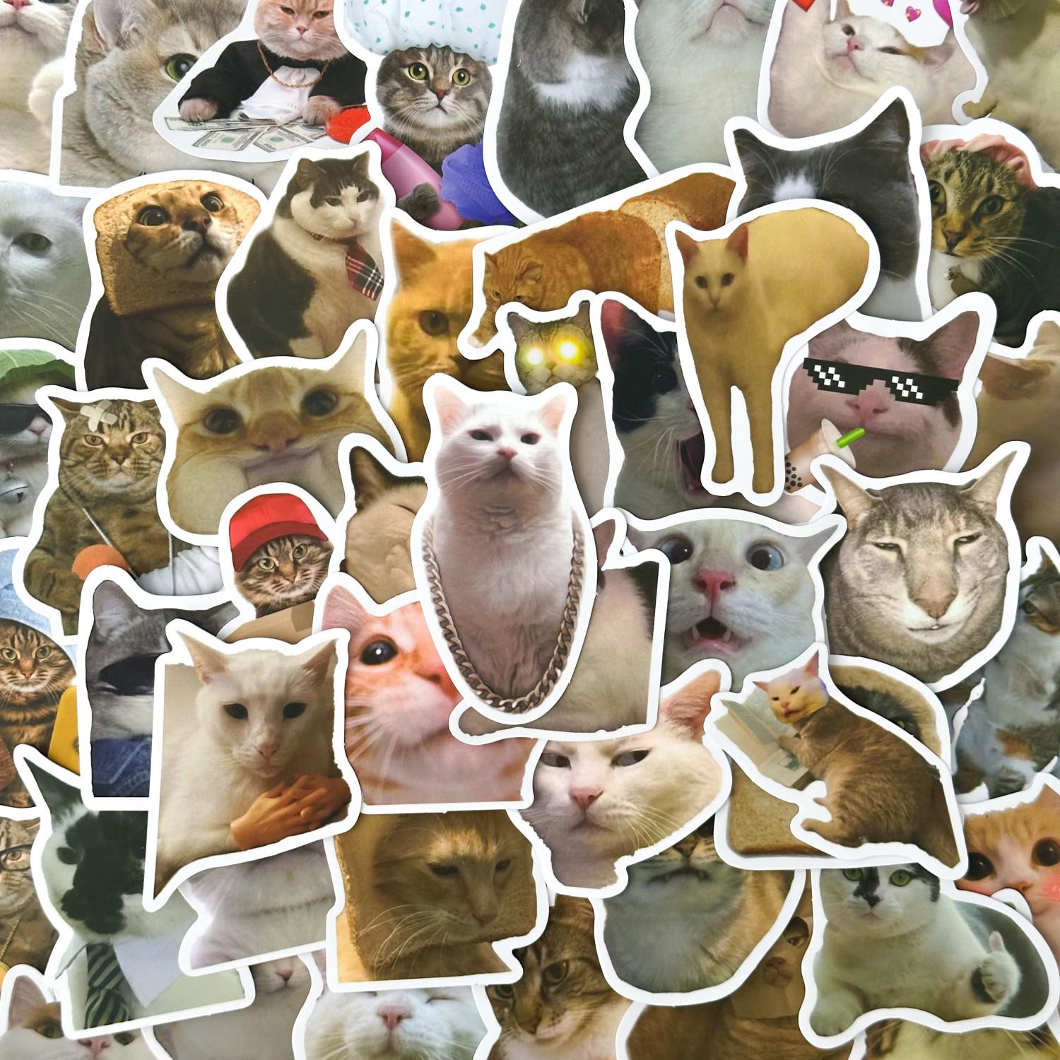50 Random Cute Cat Meme Stickers, Vinyl Stickers, Kawaii Stickers ...