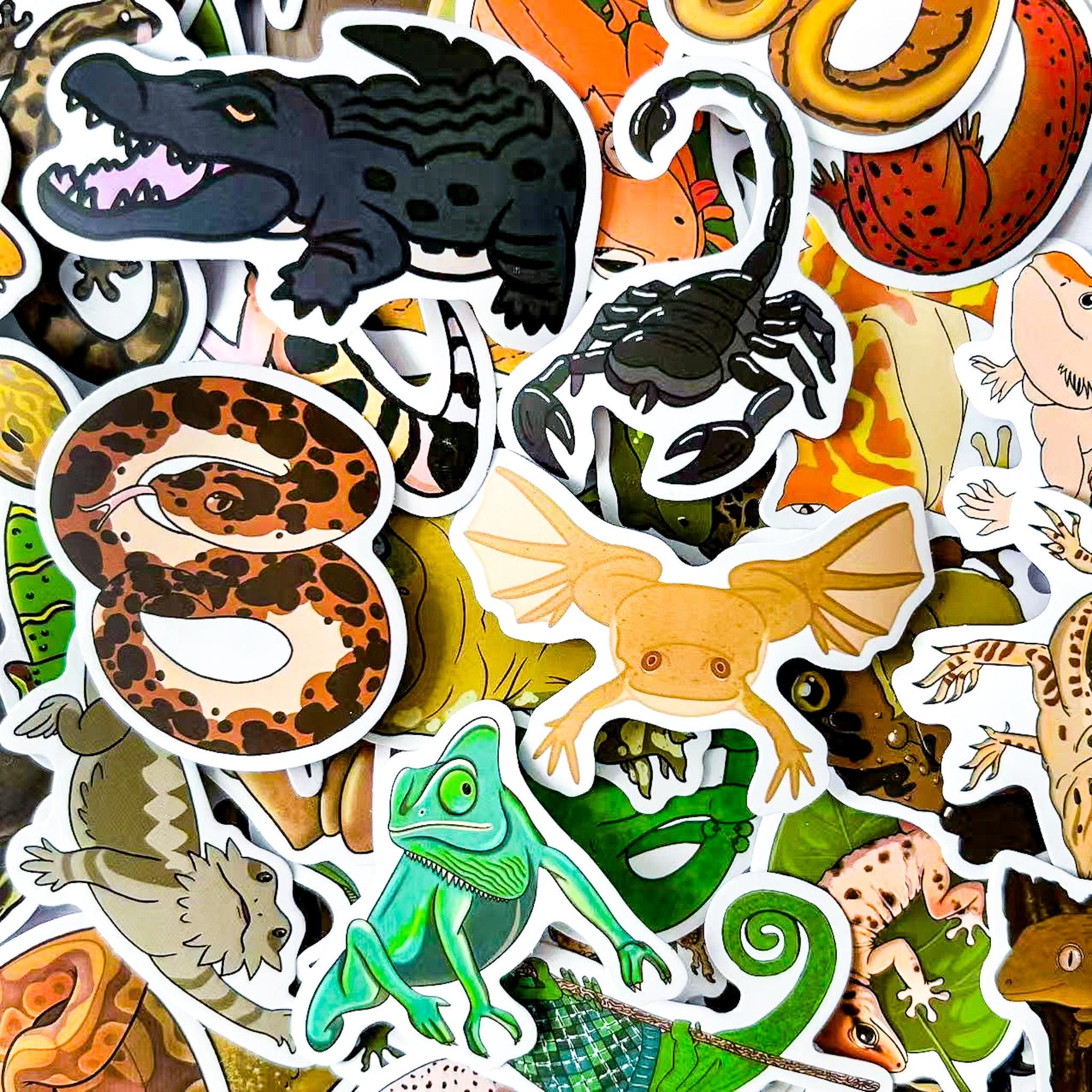 Rectangular Sticker Animals 50pcs Animal Stickers Pack, Reptile & Amphibian Stickers, Cute Lizard ...