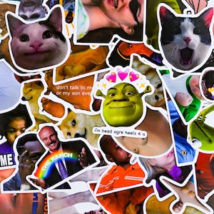 Paquete de 100 pegatinas de vinilo con memes, pegatinas divertidas y modernas a prueba de agua para portátiles, botellas de agua, Kindle, juego de pegatinas divertidas y virales
