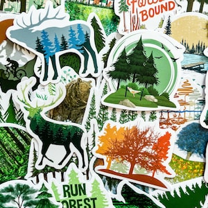 100 willekeurige bosstickers, stickers natuurboom, stickerspakket wilde dieren, natuurbehoudstickers voor plakboek en knutselwerk