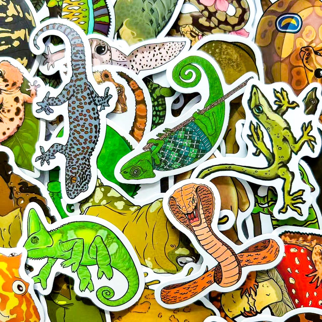 50pcs Animal Stickers Pack, Reptile & Amphibian Stickers, Cute Lizard ...