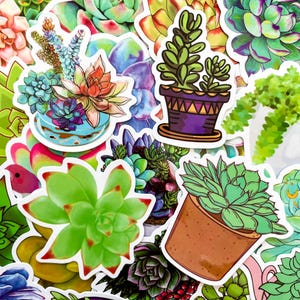 100 adesivi casuali di piante succulente, adesivi colorati di piante succulente, bellissimi adesivi di illustrazioni succulente per diario, album di ritagli, artigianato fai da te