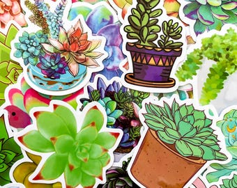 50 Random Succulent Stickers, Colorful Succulent Plant Stickers,Beautiful Succulent Illustrations Stickers for Journal,Scrapbook,DIY Crafts
