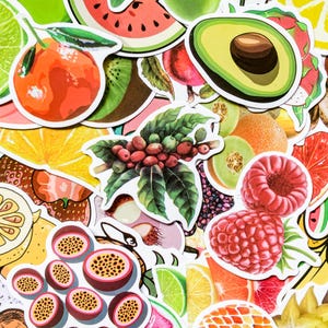 Lot de 100 autocollants de fruits aléatoires, autocollants tropicaux, autocollants de fruits colorés, autocollants en vinyle de fruits mignons pour Kindle, journal et bouteille d'eau