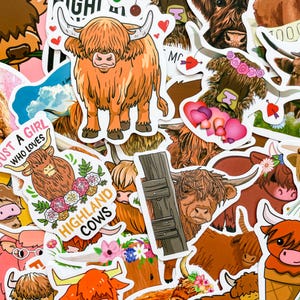 Pu&ograve; includere: Una collezione di adesivi colorati con mucche delle Highlands. Gli adesivi hanno vari design, tra cui mucche con fiori, cuori e testo che dice "Just a girl who loves Highland cows".