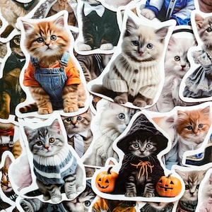 100 Random Fashionable Cat Stickers, Trendy Cute Cat Stickers, Funny Cat Stickers, Waterproof Stickers for Journal, Sticker for Cat Lover