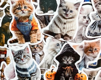 50 adesivos aleatórios de gatos estilosos, adesivos de gatos fofos e modernos, adesivos de gatos engraçados, adesivos à prova d'água para diário, adesivos para amantes de gatos.