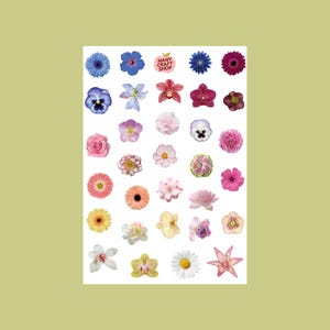 Folha de adesivos de flores A5 - Diário, Scrapbooking, Diário de Bolinhas, Adesivos de Diário de Marcadores - Adesivos fofos
