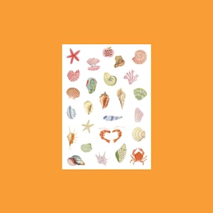 Hoja de pegatinas mini mate A6 con diseño de concha - Pegatinas para diario, scrapbooking, diario basura, bullet journal - Pegatinas lindas y playeras