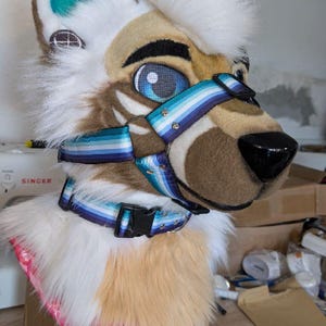 Pelsdräkt Munkorg + Halsband Set Pride Flags