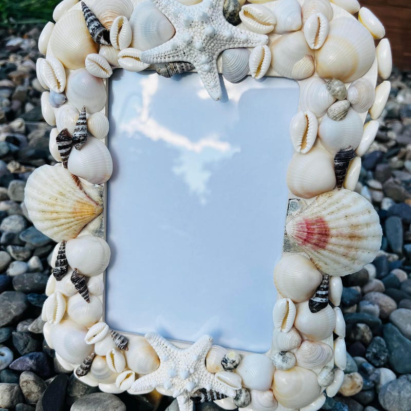 Seashell Frame - Etsy
