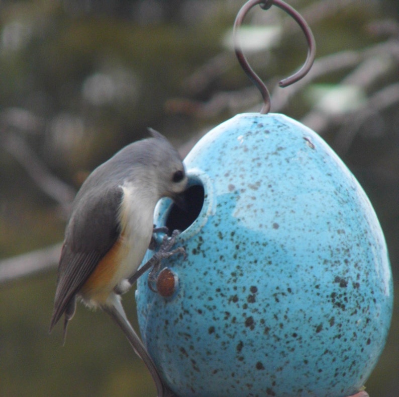 Bonnet Blue Highfired stoneware clay Birdhouse image 3