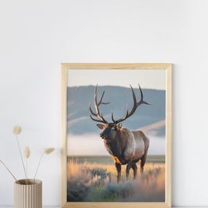 May include: A framed print featuring a majestic elk with large antlers standing in a field. The artwork showcases the animal in a natural setting with a mountain backdrop, bathed in warm sunlight. The frame is made of light-colored wood.