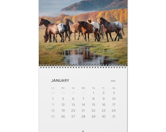Wilde Pferde Fotografie Wandkalender 2026 | Malerischer Reiter-Monatskalender