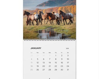 2026 Chinese Wall Hanging Scroll Calendar – Horse Design With Panda Pictures