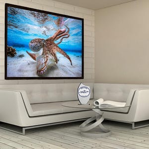 Octopus Animal UnderWater Canvas, Octopus, Animal, UnderWater, Canvas, Poster, Wall, Room, Office, Home, Decor, Fantasy, Print, Art, Gift