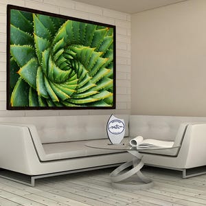 Cactus Canvas, Herb Canvas, Table, Chart, Picture, Painting, Wall Art, Wall Decor, Poster, Wall Hangings, Abstract, Art, Gift, For Gift