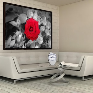 Rose Canvas, Flower Canvas, Red Rose Canvas, Canvas, Table, Chart, Picture, Painting, Wall Art, Wall Decor, Wall Hangings, Poster, Gift