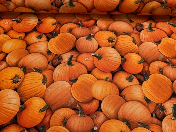 100 percent cotton fabric Pumpkins! Quantity 1= fat quarter. Greater than 1 is a continuous cut.
