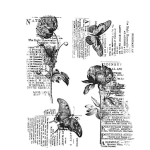 Tim Holtz / Stamps Anonymous Botanic Collage CMS447 Jeu de tampons adhésifs