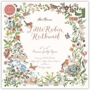 Craft Csortum Doppelseitiger Papierblock 6 "X6" 40 / Pkg Little Robin Rotkehlchen