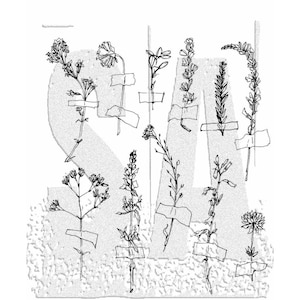 Tim Holtz /Stampers Anonymous Forgotten Garden CMS481 Haftstempelset