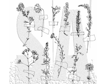 Tim Holtz /Stampers Anonymous Forgotten Garden CMS481 Cling Stamp Set