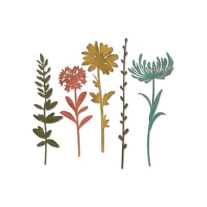 Sizzix Thinlits Tim Holtz Wildflower Stems #1 Dies 664163