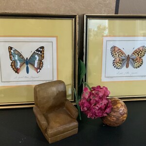 Ernst Butterflies Framed Art