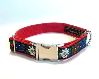 EDELWEISS 1” wide Dog collar with metal lock buckle and optional Edelweiss leash on RED webbing. Edelweiss leash. Size, style choice