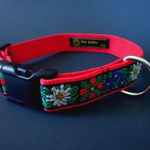 EDELWEISS 1 &quot; wide Dog collar and optional red leash. Red, white, blue, green, black on Red webbing. Black buckle. Size, style choice