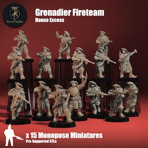 Pode incluir: Um conjunto de 15 miniaturas impressas em 3D pré-suportadas de um Fireteam de Granadeiros, House Excess. As miniaturas estão em várias poses de combate, segurando armas e vestindo armaduras.