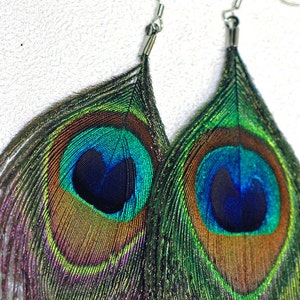 Natural Peacock Feather Earrings Long Flowing Boho Chic Hippie Gift Idea image 1