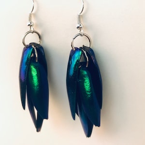 Green Beetle Wing Earrings Medium Length Best friend or Girlfriend Gift for Her Statement Jewelry Insect Nature Natural Theme image 10