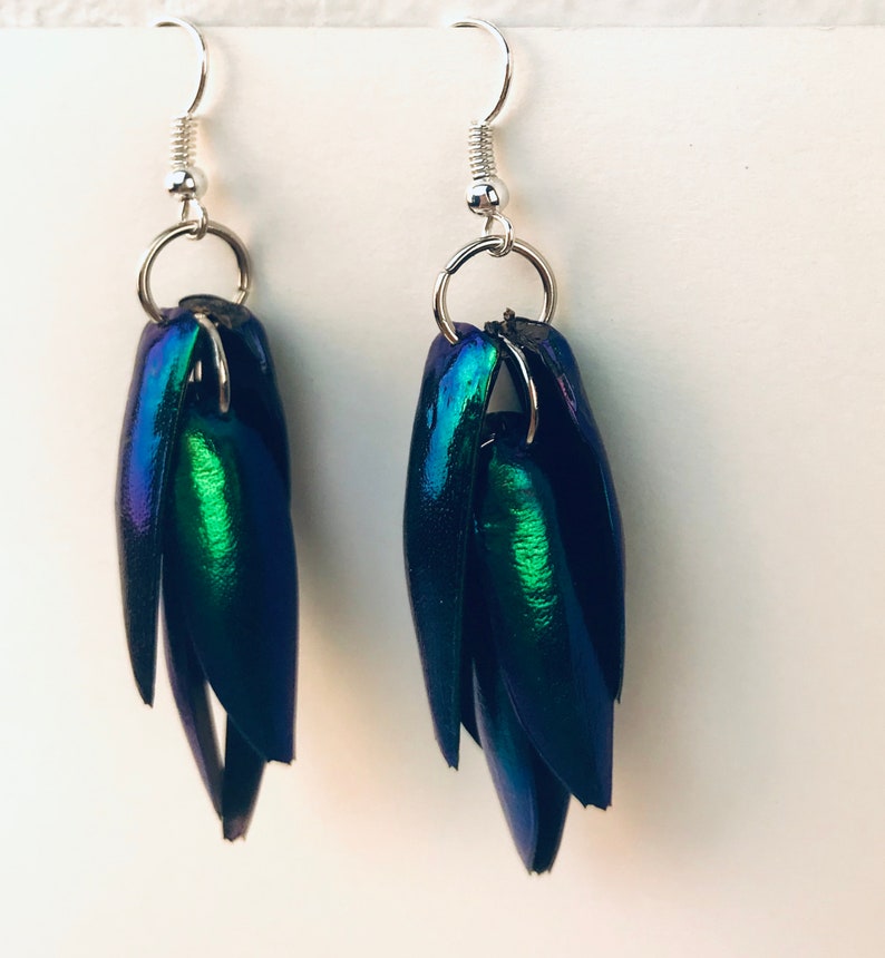 Green Beetle Wing Earrings Medium Length Best friend or Girlfriend Gift for Her Statement Jewelry Insect Nature Natural Theme image 10