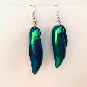 Green Beetle Wing Earrings Medium Length Best friend or Girlfriend Gift for Her Statement Jewelry Insect Nature Natural Theme image 9