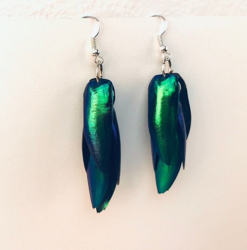 Green Beetle Wing Earrings Medium Length Best friend or Girlfriend Gift for Her Statement Jewelry Insect Nature Natural Theme image 9