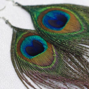 Natural Peacock Feather Earrings Long Flowing Boho Chic Hippie Gift Idea image 3