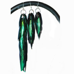 Green Beetle Wing Earrings: Iridescent Chainmaille Statement Jewelry