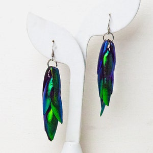 Green Beetle Wing Earrings Medium Length Best friend or Girlfriend Gift for Her Statement Jewelry Insect Nature Natural Theme image 3