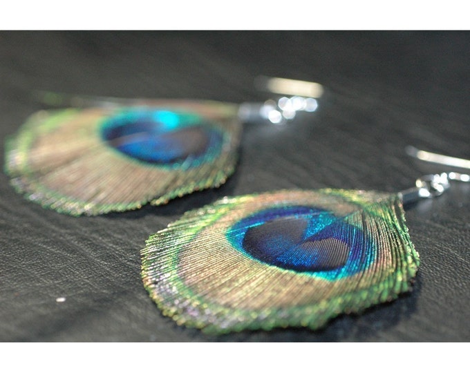 Peacock Feather Earrings Trimmed Boho Chic Style