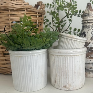May include: Two white, ribbed ceramic pots with a distressed finish. One pot contains green foliage. A smaller, matching pot sits inside a larger one. A woven basket and decorative items are in the background.