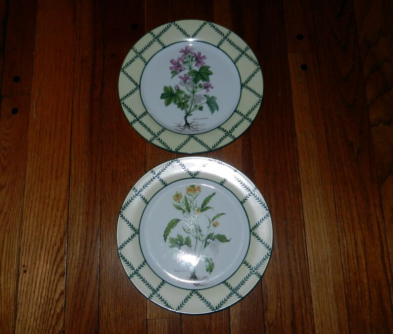Decorative Wall Plates Vintage Botanical Plate Set Etsy