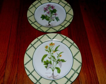 2 Decorative Wall Plates~ Vintage Botanical Plate Set~  Display Wall Plate~ Yellow Green Lattice French Country Decor~ Floral Garden Plates