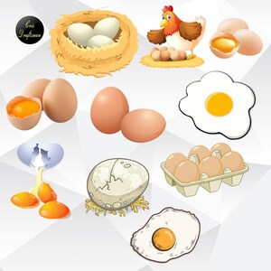Egg Yolk Hen Chicken Illustration, Digital Print, Printable, Sticker Template, Instant Download, Artwork, Transparent Image, png, jpg, psd
